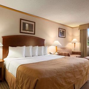 One-Bedroom King Suite