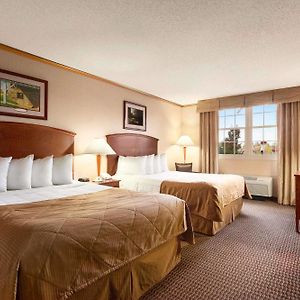 4 Queen Beds 1 Bunk Bed One-Bedroom Suite Non-Smoking